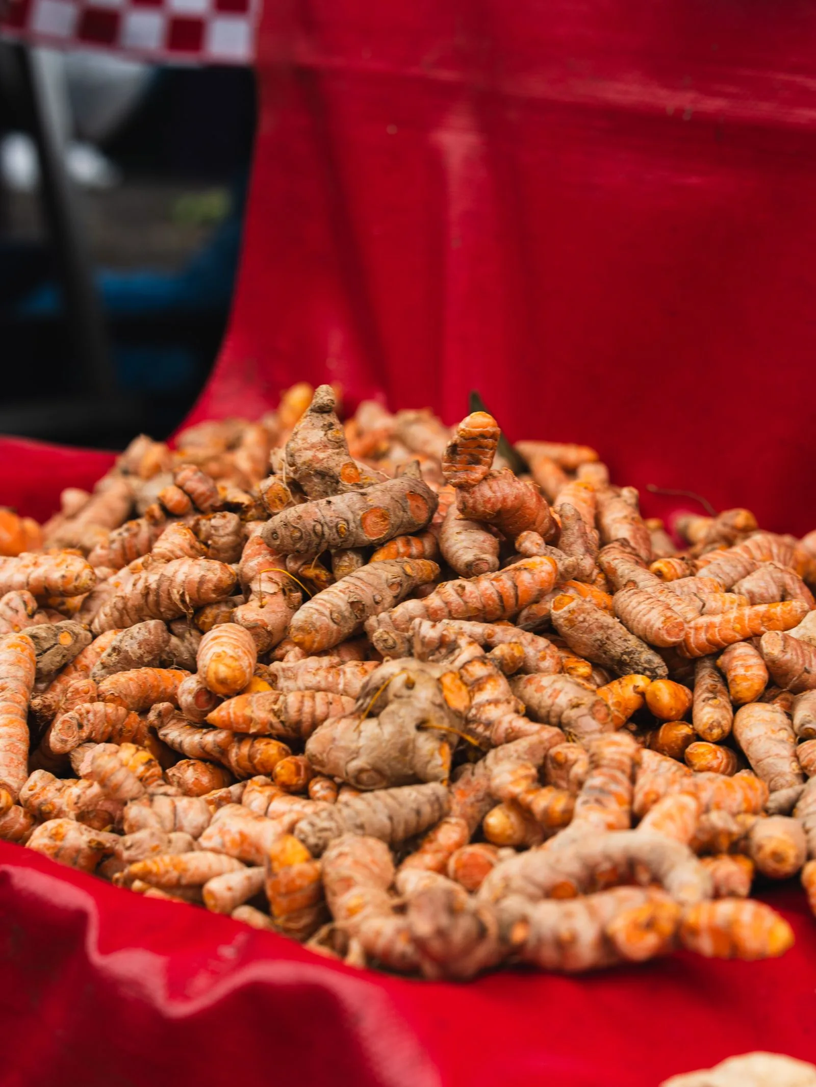 Freshly harvested turmeric roots: no two harvests have exactly the same curcumin