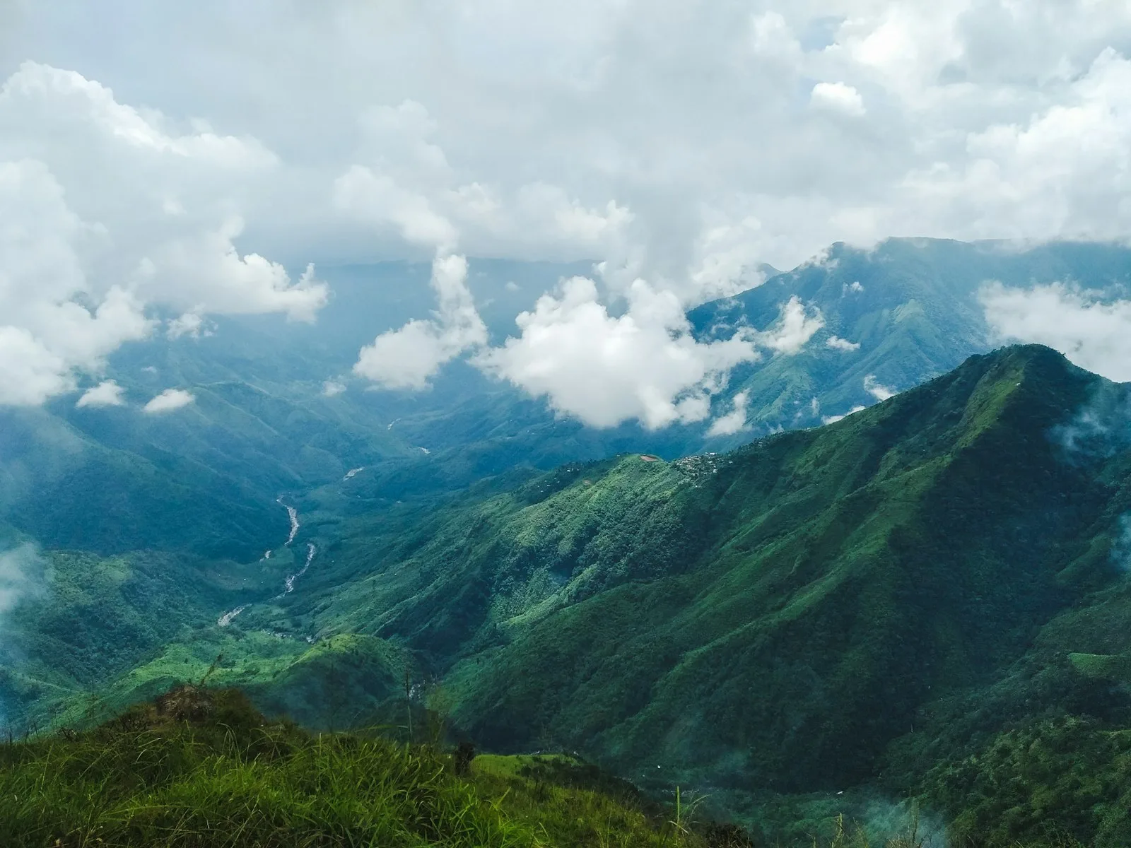 The green, rain-fed hills of Meghalaya, home of GI-tagged Lakadong turmeric