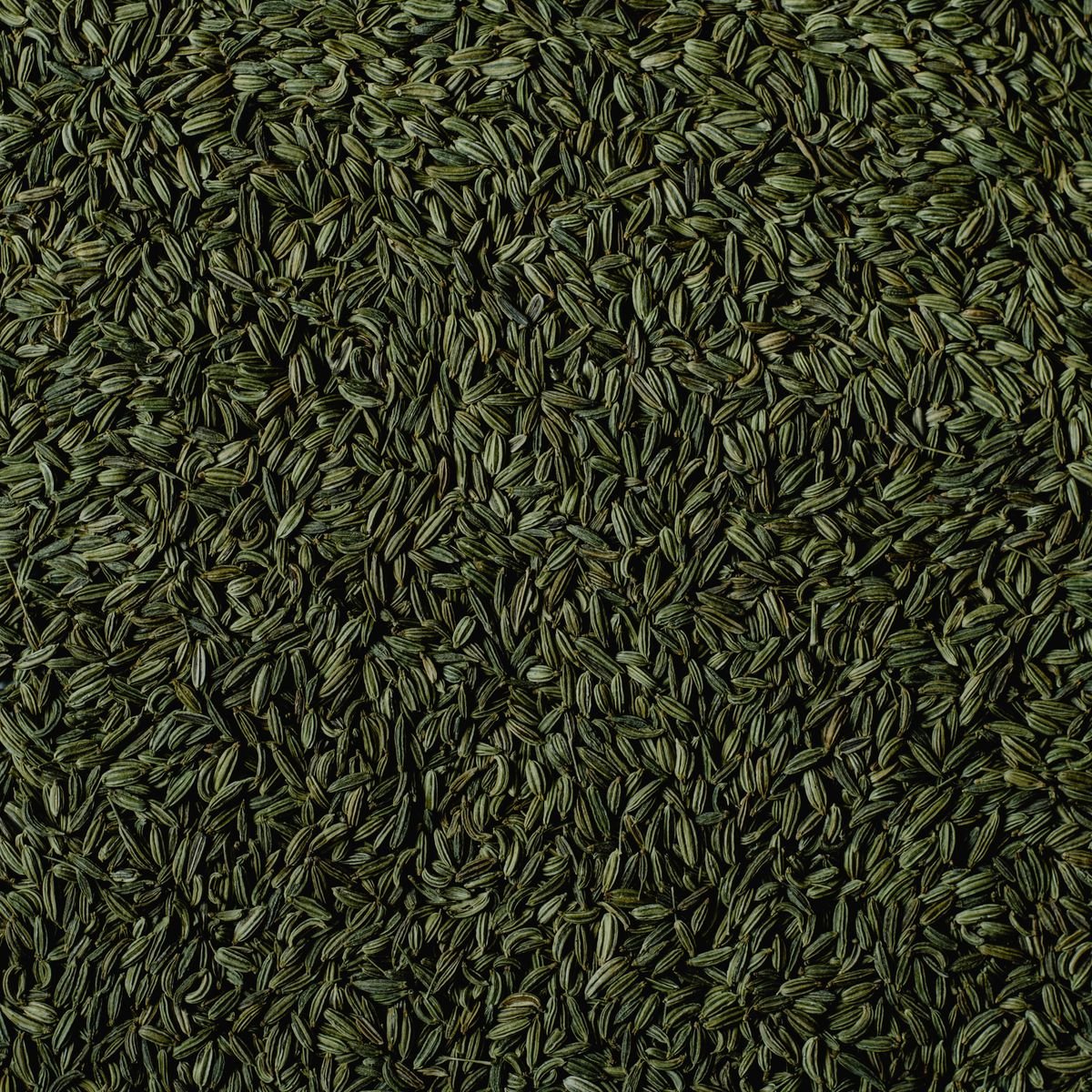 Fennel Seeds