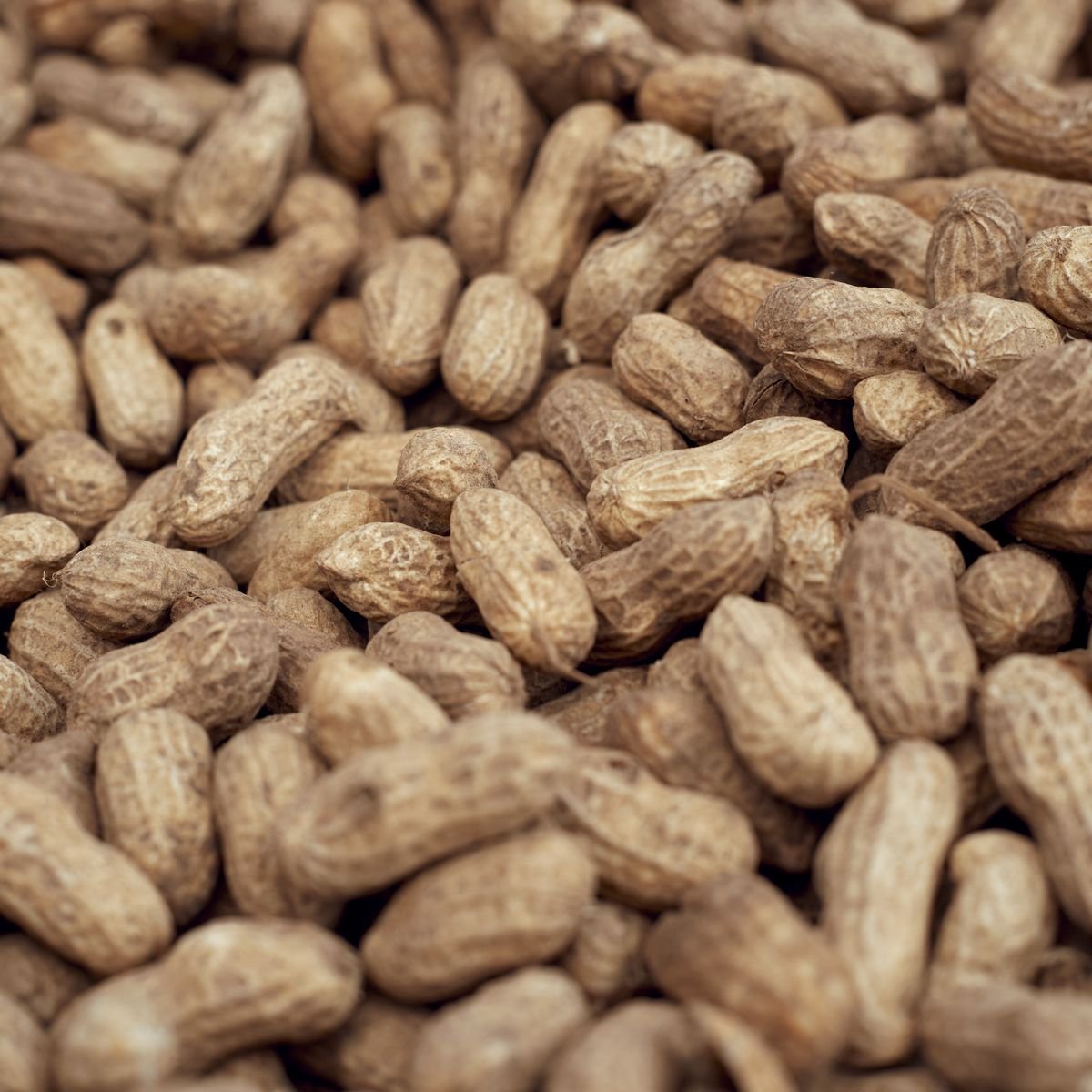 Groundnuts / Peanuts