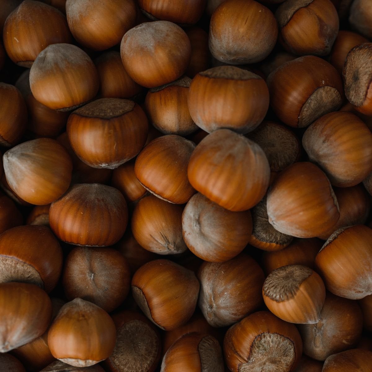 Hazelnuts