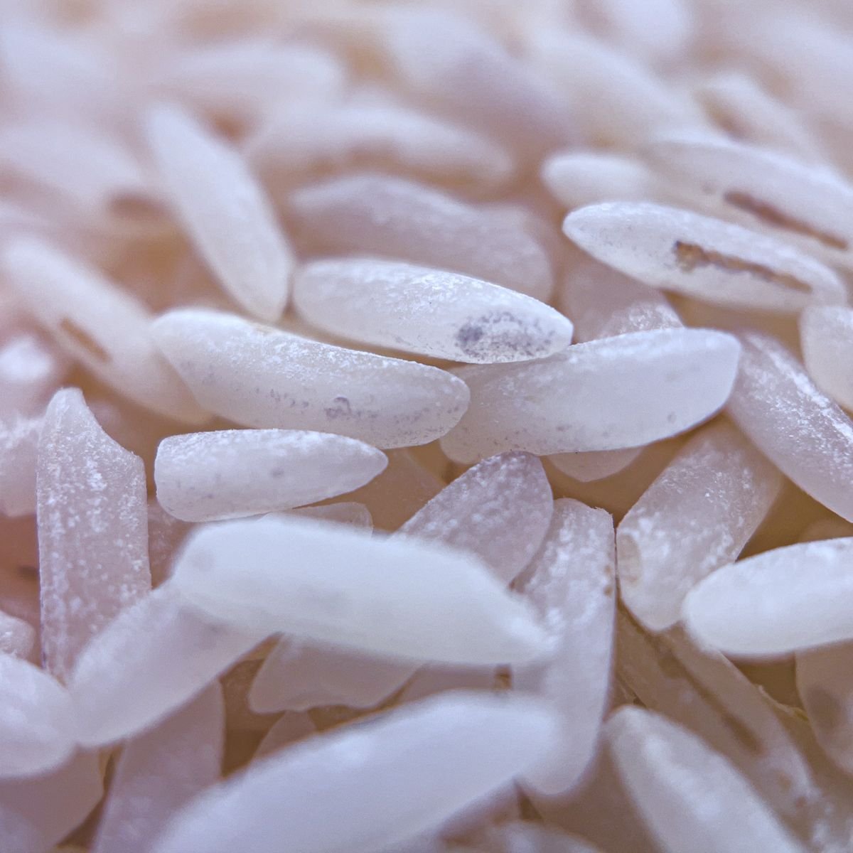 Kalanamak Rice