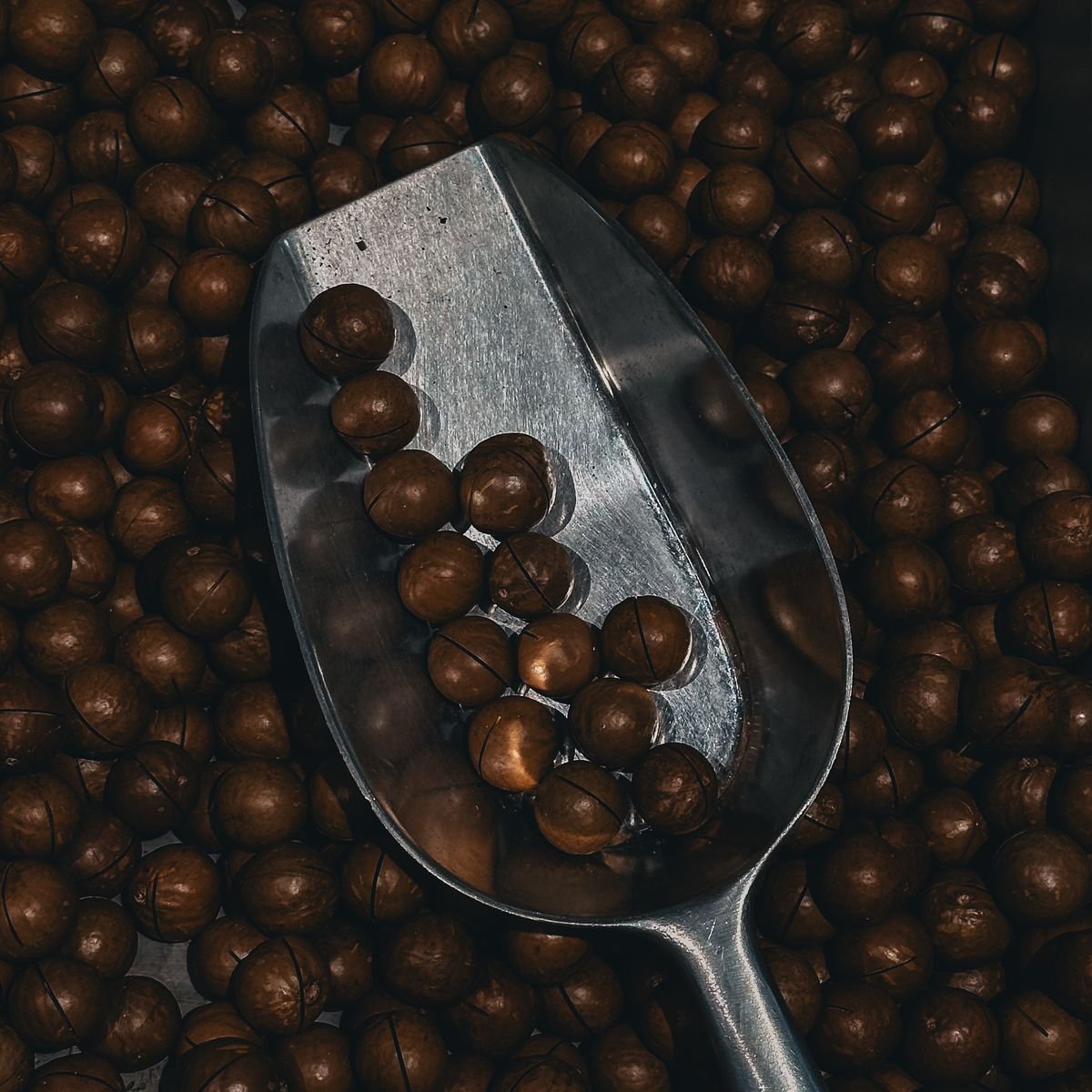Macadamia Nuts