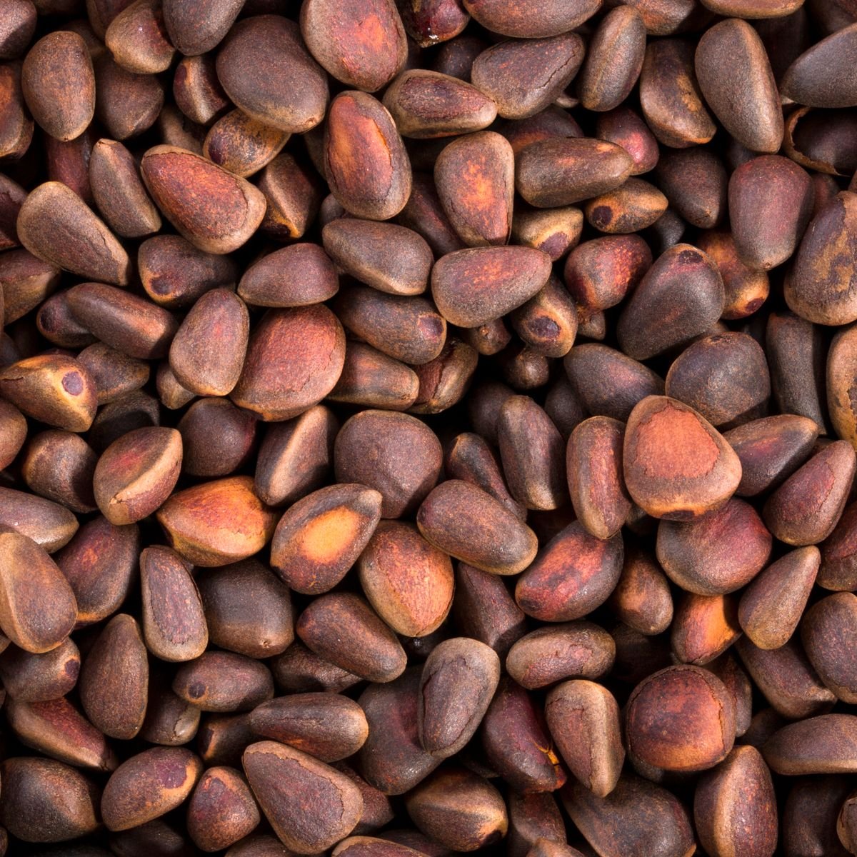 Pine Nuts