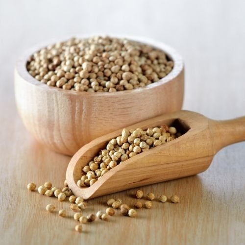 Coriander